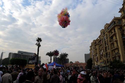 11054796 356046791259372 4601807016950213351 n